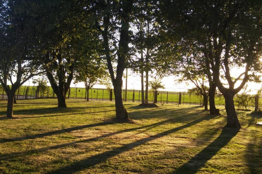 Chaumiere Du Chateau D'O Et Sa Mini Ferme ,Gite 21Couchages Goupil-Othon Kültér fotó