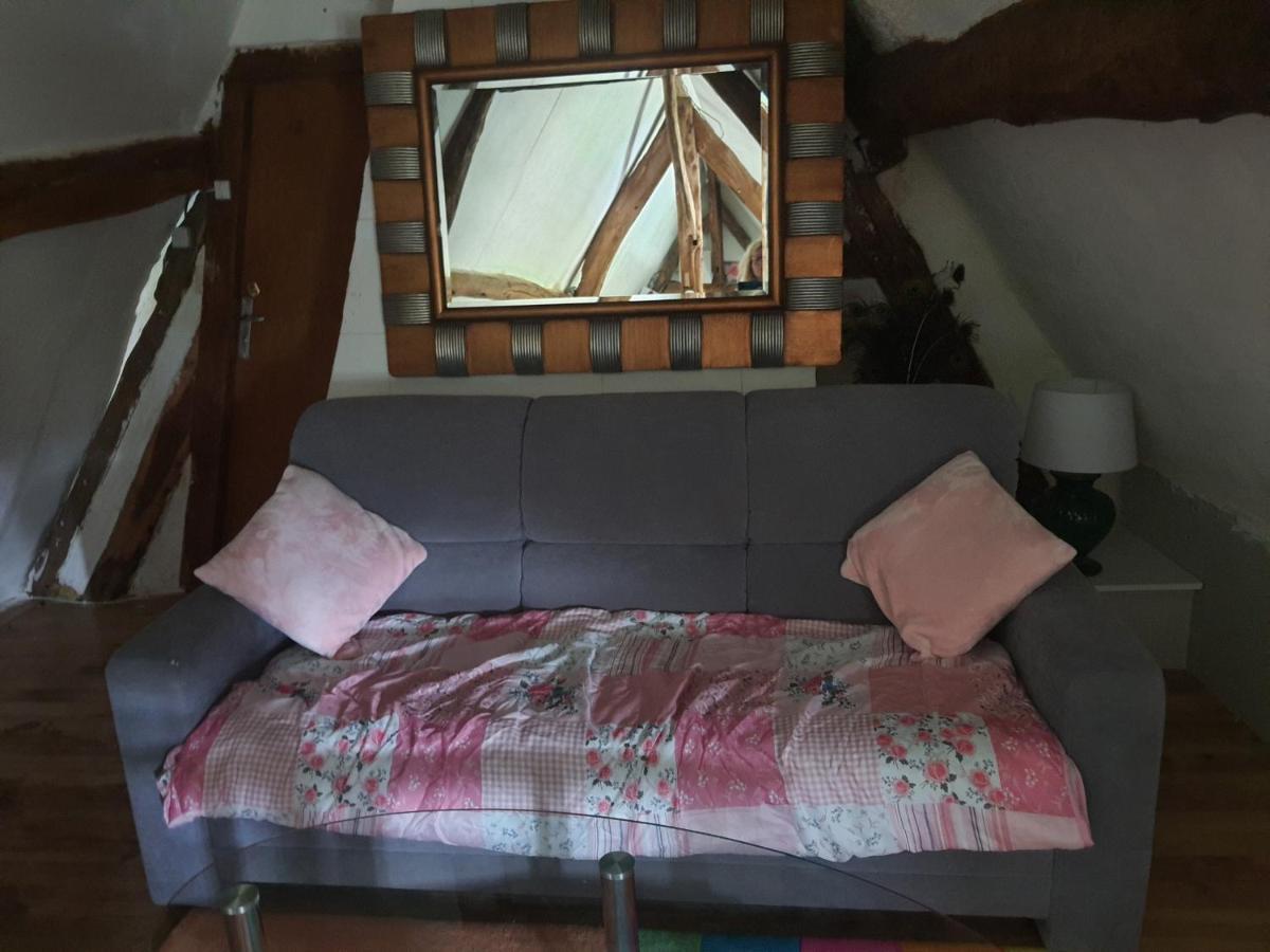 Chaumiere Du Chateau D'O Et Sa Mini Ferme ,Gite 21Couchages Goupil-Othon Kültér fotó