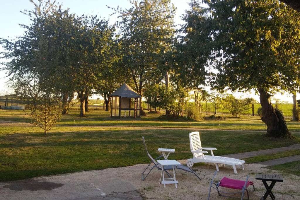 Chaumiere Du Chateau D'O Et Sa Mini Ferme ,Gite 21Couchages Goupil-Othon Kültér fotó