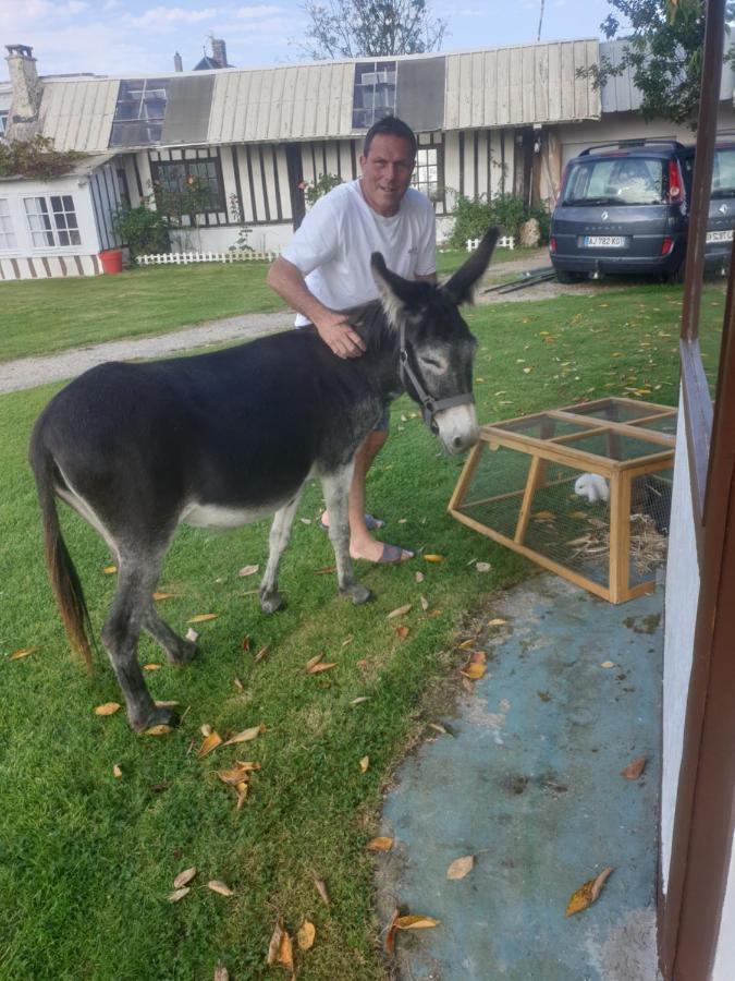 Chaumiere Du Chateau D'O Et Sa Mini Ferme ,Gite 21Couchages Goupil-Othon Kültér fotó